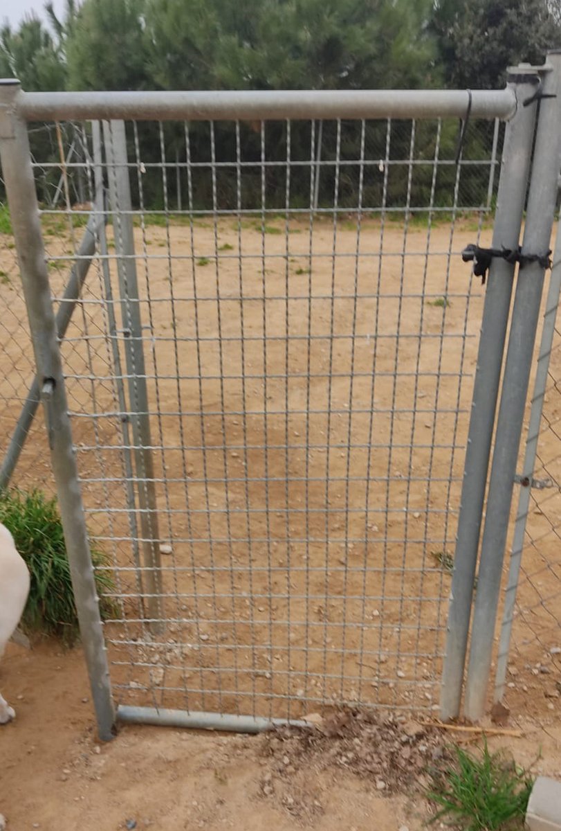 pepsesat's tweet photo. Anem millorant srs. de l'ajuntament de @granollers ... Ara la porta està trencada per diversos llocs i segueix sense poder obrir-se... 10 dies des de que van dir que ho arreglaven i fins que algú prengui mal #oletu #usfelicito #seguimsensecomentaris https://t.co/ixmQ4li8GS