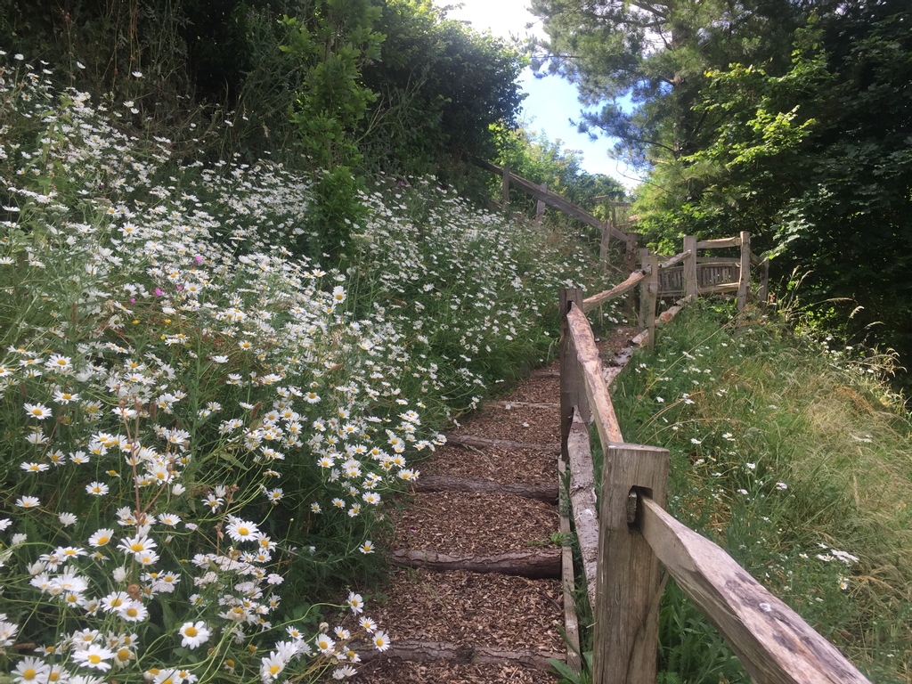 wildflowerturf's tweet image. 20 countries are home to 94% of the world’s remaining wilderness, excluding the high seas and Antarctica. 100 years ago, wilderness extended over most of the planet. Today, only 23% of land &amp;amp; 13% of the ocean remains free from the harmful impacts of human activities.  #rewild