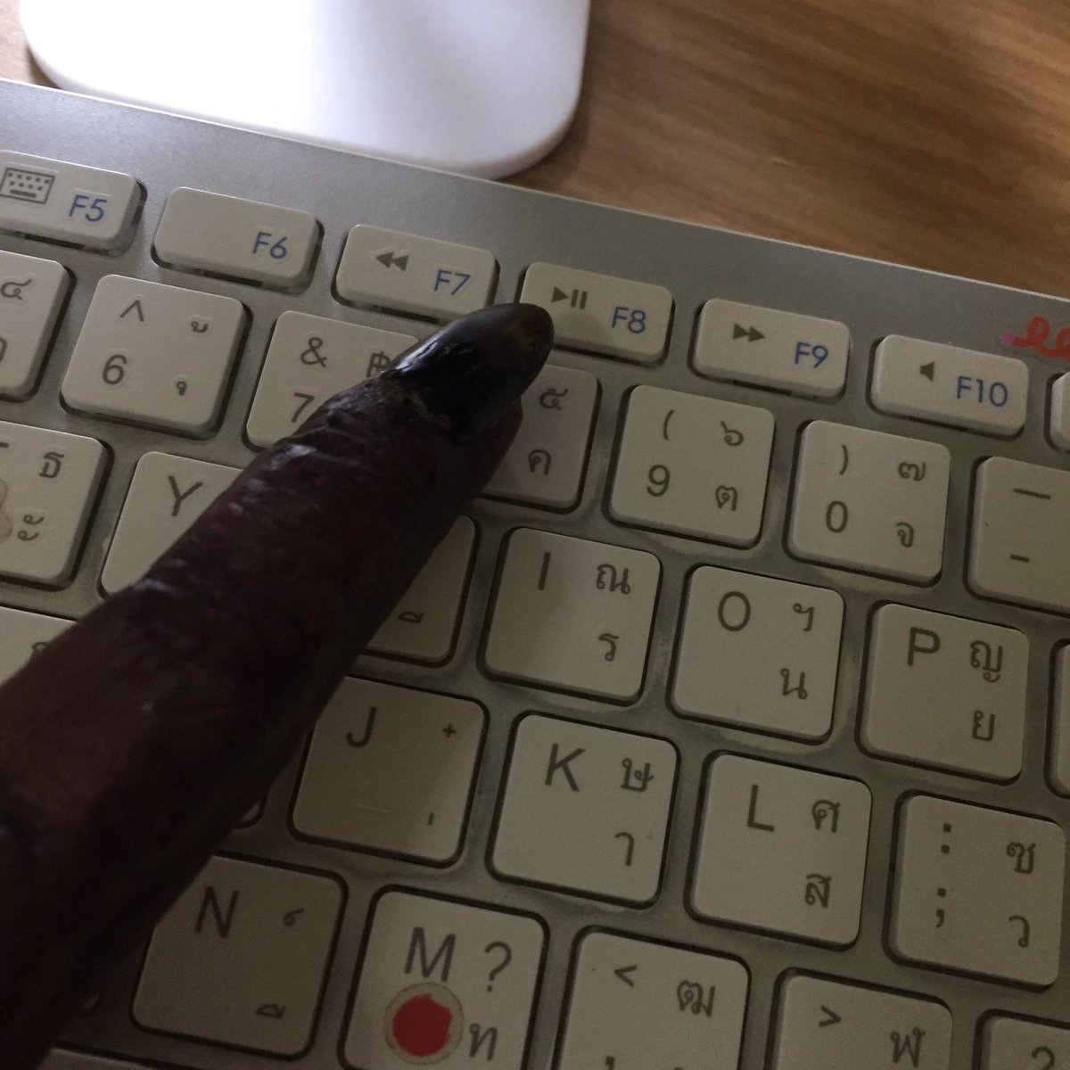 captainmeowss's tweet image. สุคุนะหัดพิมพ์ภาษาไทย