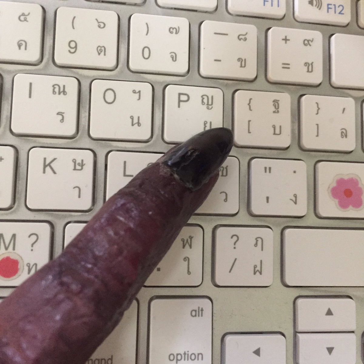 captainmeowss's tweet image. สุคุนะหัดพิมพ์ภาษาไทย