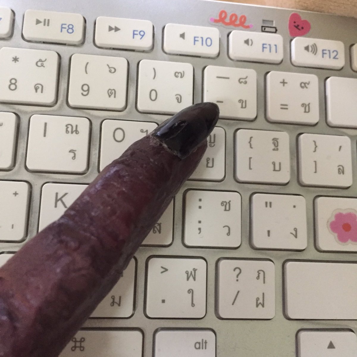 captainmeowss's tweet image. สุคุนะหัดพิมพ์ภาษาไทย