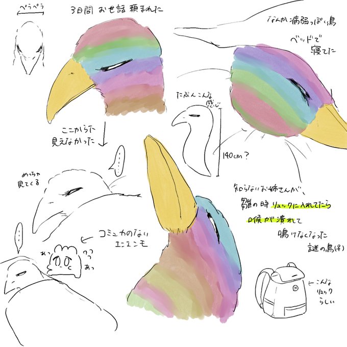 一昨日夢の中に出てきた 