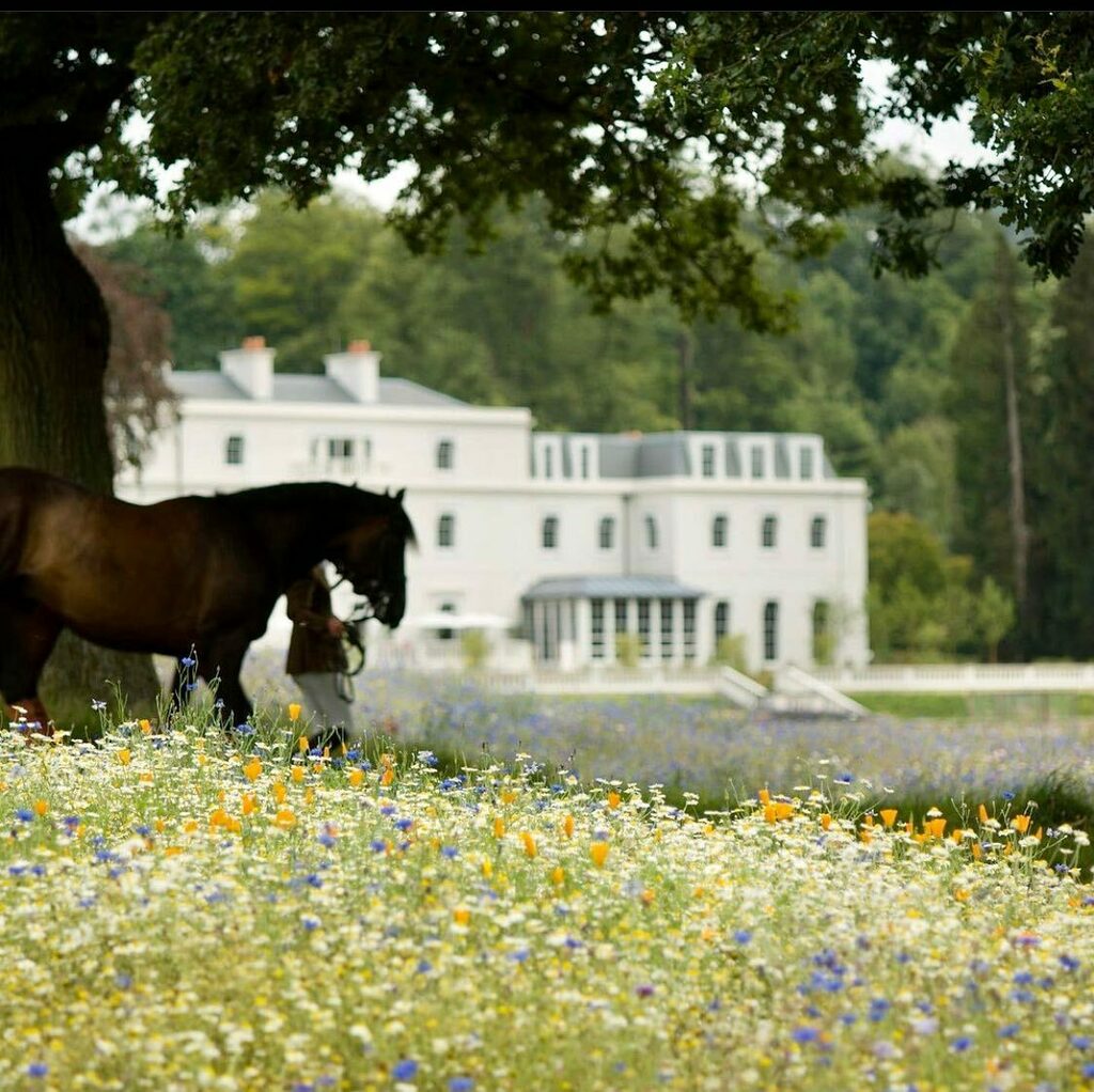 WILD MEADOW WALKS
Anyone else got the same few walks that have been on rotation over the last 10months? 

I’ve discovered so much more of my local area in Twickenham, but I can’t wait to get a little further afield. 

Coming into spring it always makes m… instagr.am/p/CL6ItIzBei-/