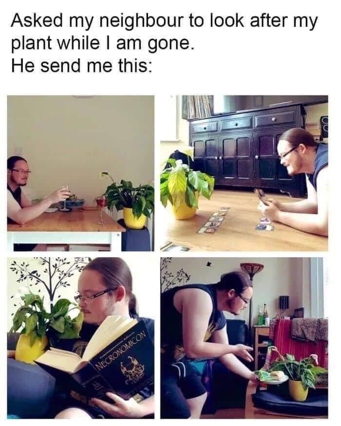 prickly_plants's tweet photo. Everybody needs good neighbours!

#plantmemes #plantsofinstagram #planthumour #plantsofinstagram #liverpool #plantmom #plantdad #plantparent #pricklyplants #liverpool https://t.co/4oIggdjwCB