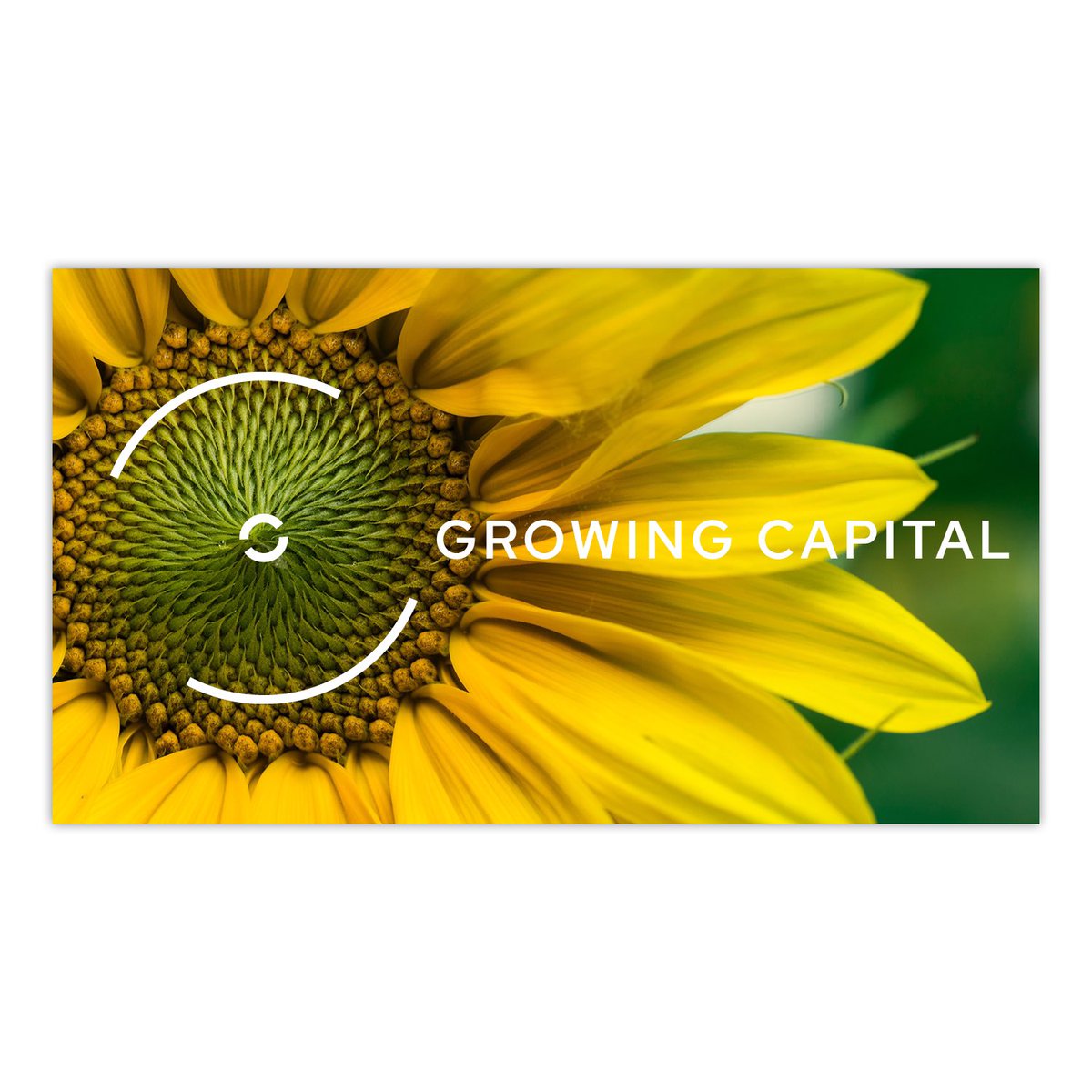 31percentwool's tweet photo. 🌟New case study🌟 Brand identity and website for socially responsible impact investment advisory, Growthcap 💚 who raise funds for environmentally and socially conscious businesses 🌍so it felt appropriate to link the visual identity to the natural world: https://t.co/NOULuDr0xH https://t.co/tPwoGk57Mn