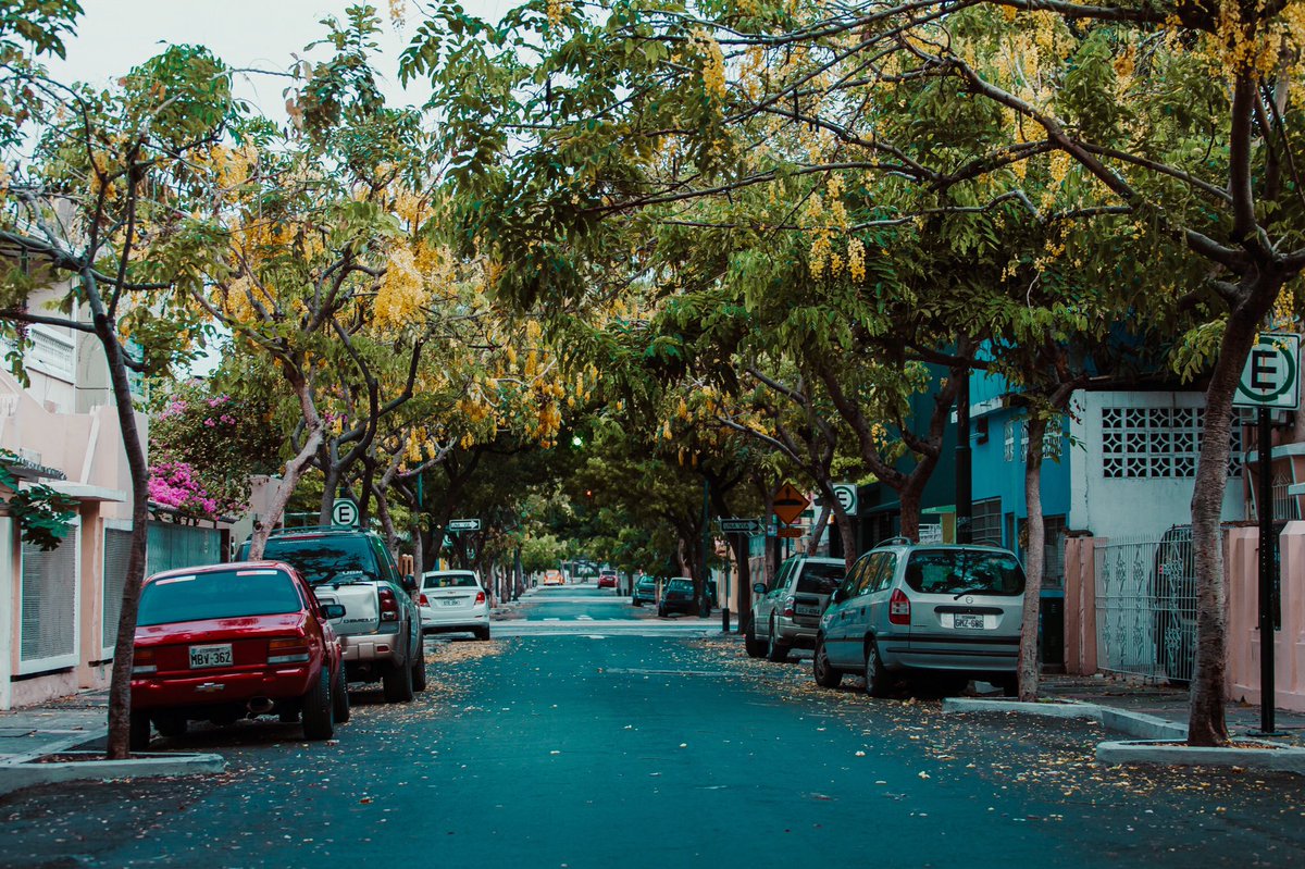 Gabo_Harper's tweet photo. @BelenMarcosY 💪🏼💪🏼💪🏼 es la más linda, pero la zona es muy desolada proclive para asaltos lastimosamente https://t.co/yVtEEVFCIc