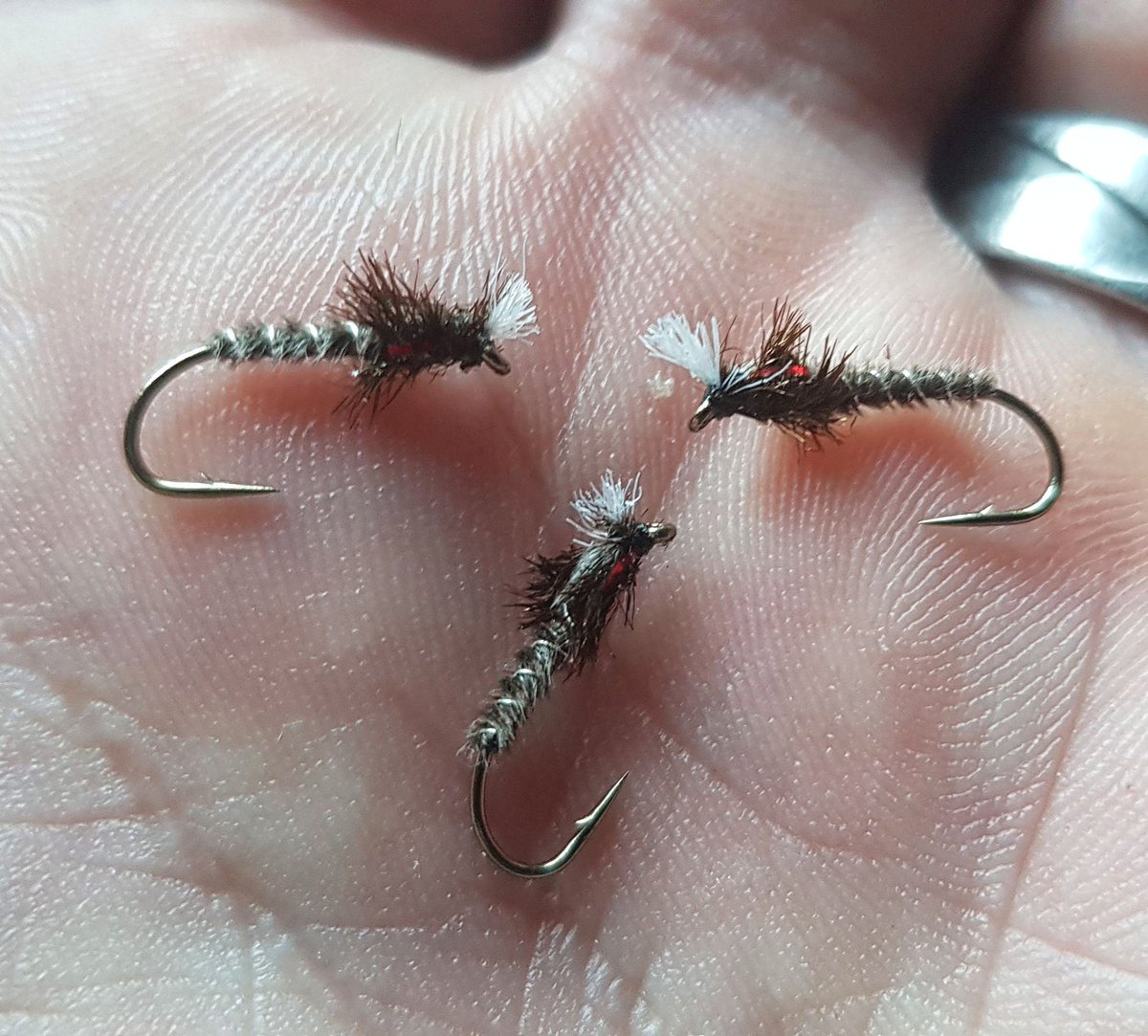 mccoy007_coy's tweet photo. #lightwire #buzzer #greygoose #cpr #wildbrowntrout #loughcorrib #loughmask #loughsheelin #irishflies #duckfly 🎣☘🐳🎣☘🐳 https://t.co/UPi1OFmc8A