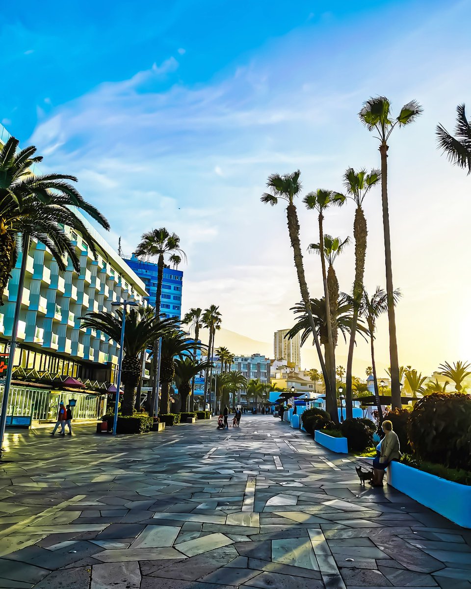 DEFARDEL Fotografía tweet media