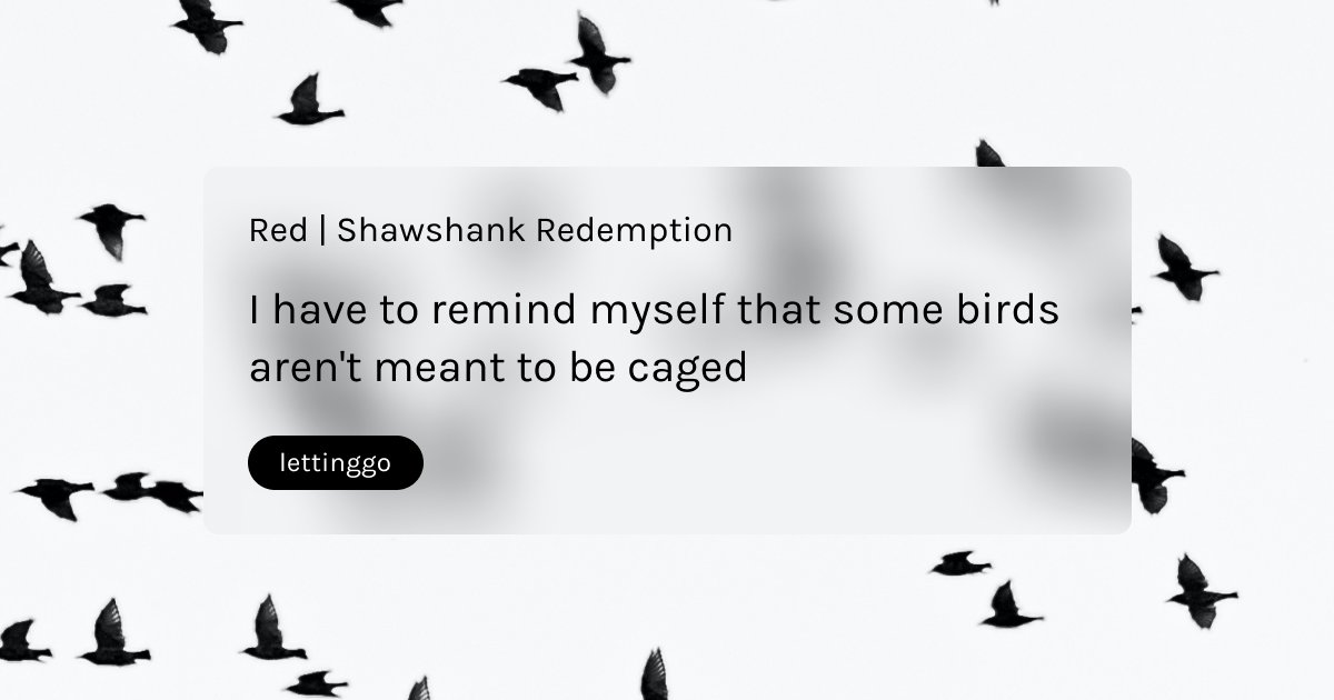 kwotapp's tweet photo. I have to remind myself that some birds aren't meant to be caged

#shawshank #moviequote #shawshankredemption #cagedbirt #kwot #quotestoliveby #inspirationalquotes #quotesdaily #quotesoftheday #quotestagram  #quoteapp #dailyquotes #lifequotes #inspire #inspiring #inspiringquotes https://t.co/iiQd1kB4VC