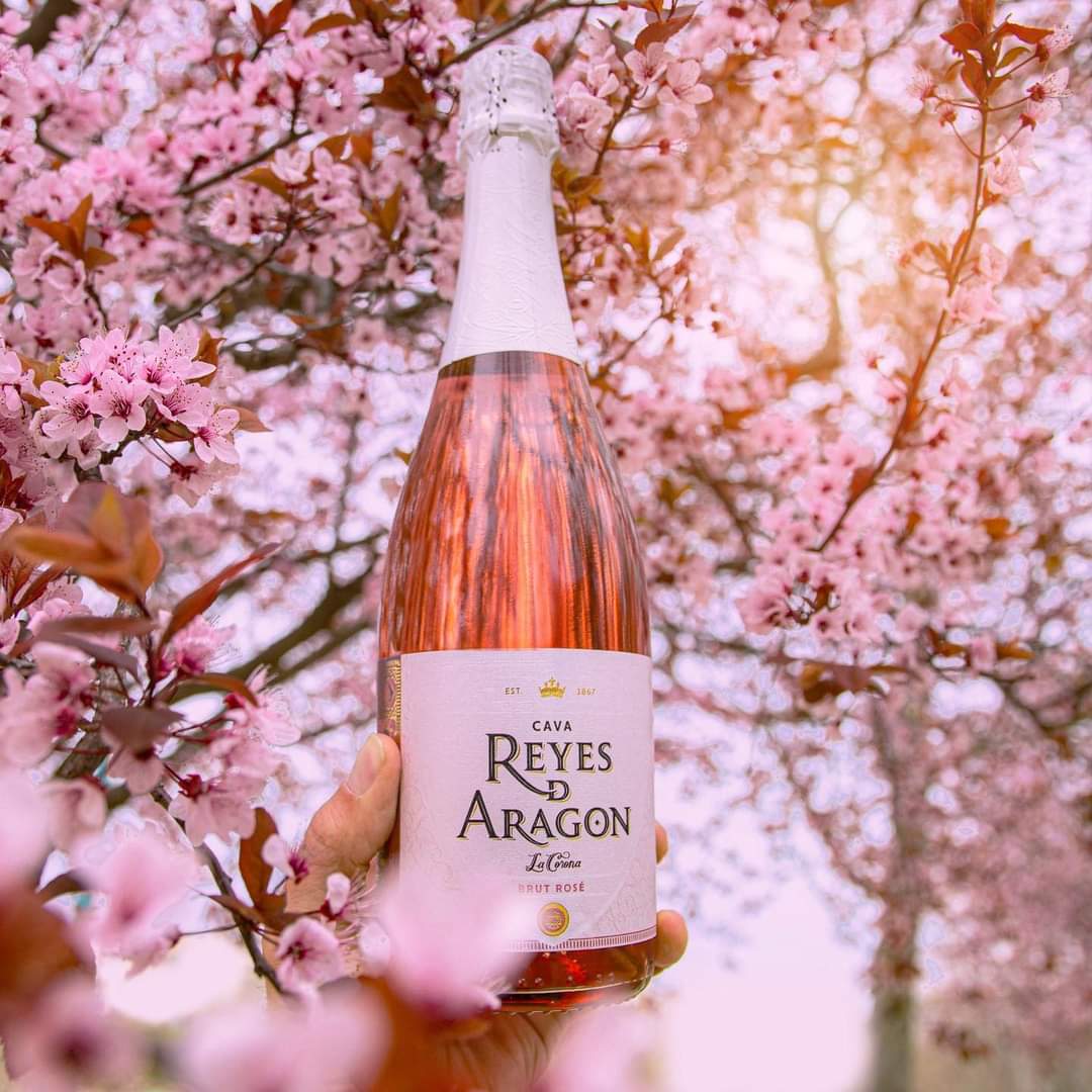 bodegas_langa's tweet photo. ¡Ya llegó Marzo!
¿Qué te parece si empezamos  abriendo una botella de @cavareyesdearagon  "La Corona" Brut Rosé? 👑🌸🥂
March is here! 
How about we start by opening a bottle of @cavareyesdearagon  "La Corona" Brut Rosé? 👑🌸🥂
#CavaReyesDeAragon #CavaRDA #DOCava #reyesdaragon https://t.co/6V4JJ4e1v3