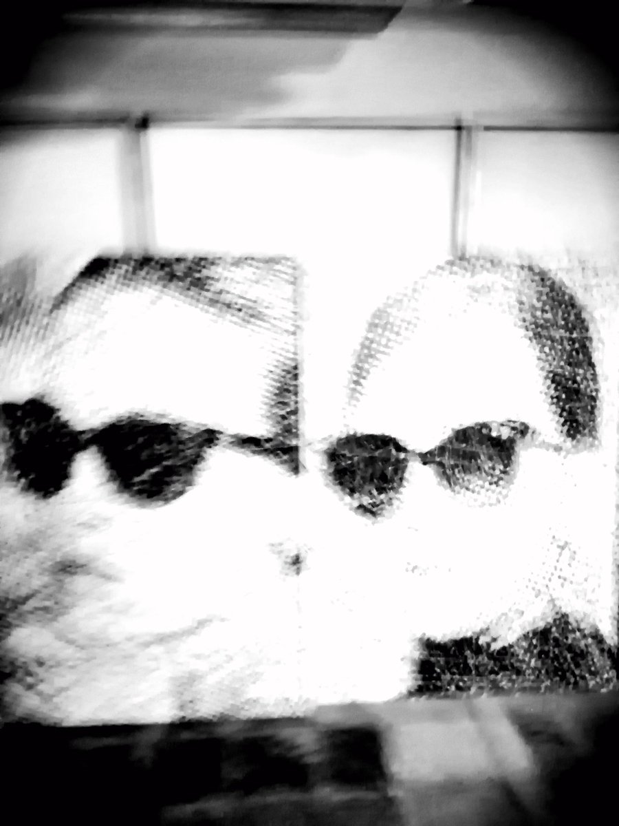conradbo's tweet image. Calculated Chaos and Doodleism in the Superblur Art Movement by Conrad Bo Doodleism #doodleism #conradbo #maximumpointillism #antipointillism #superblurpointillism #semipolntillism #mediumpointillism #superblurart #superstrokeart #pollockfication #calculatedchaos