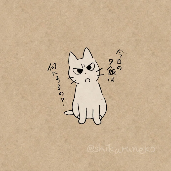 食事をお菓子で済ましてしまう人と、しかるねこと、あまやかすねこ 