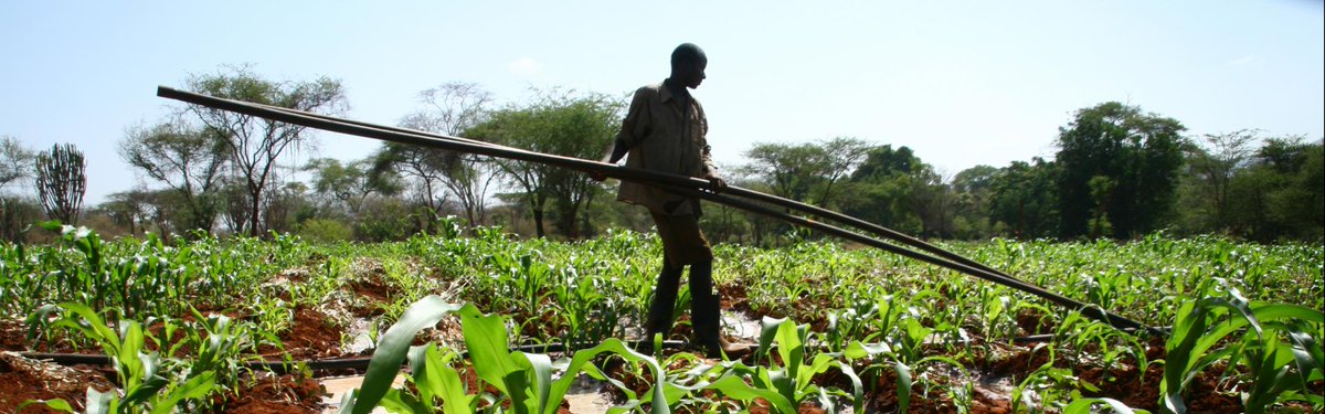 #Projet👉#agriculturedurable #Afrique
 
🌿Pour une intensification durable en #agriculture

Le projet européen #H2020 EWA-BELT s’attaque à l’«Amélioration des systèmes agricoles d'#AfriquedelEst et #AfriquedelOuest» :  bitly.com/3bRDZOW

#IRDOccitanie #sciencedeladurabilité