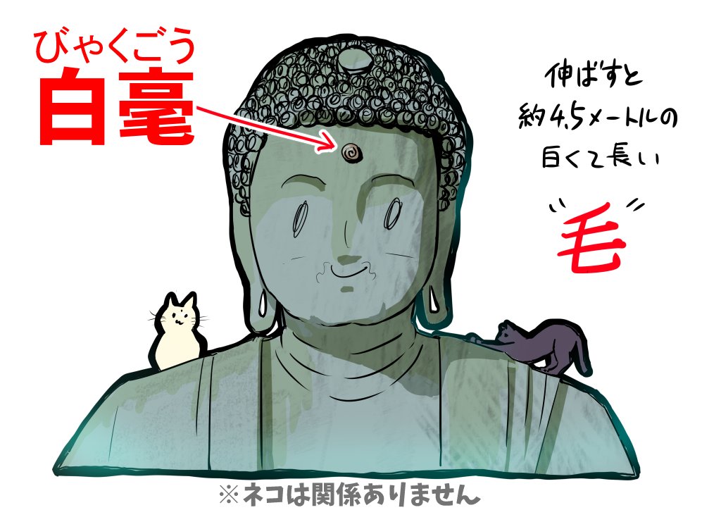 大仏を見た時に思い出して下さい 