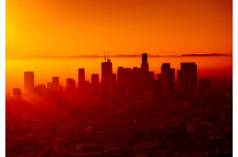 meggsimum tweet media