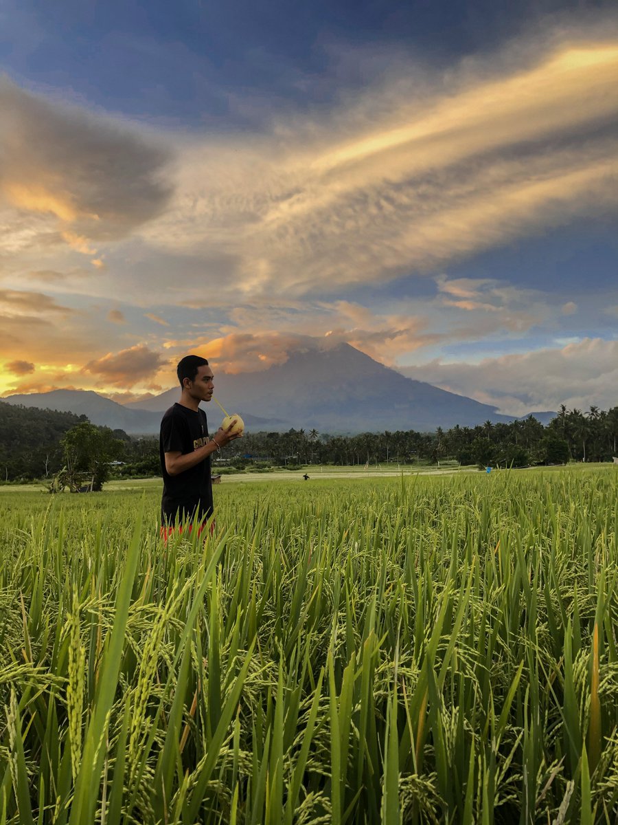 YM8510's tweet photo. Sawah memang indah
Tapi ada banyak masalah
Yg melimpah
Yg jarang untuk di liput
Kemudian berujung luput https://t.co/P22rRZr4Pi