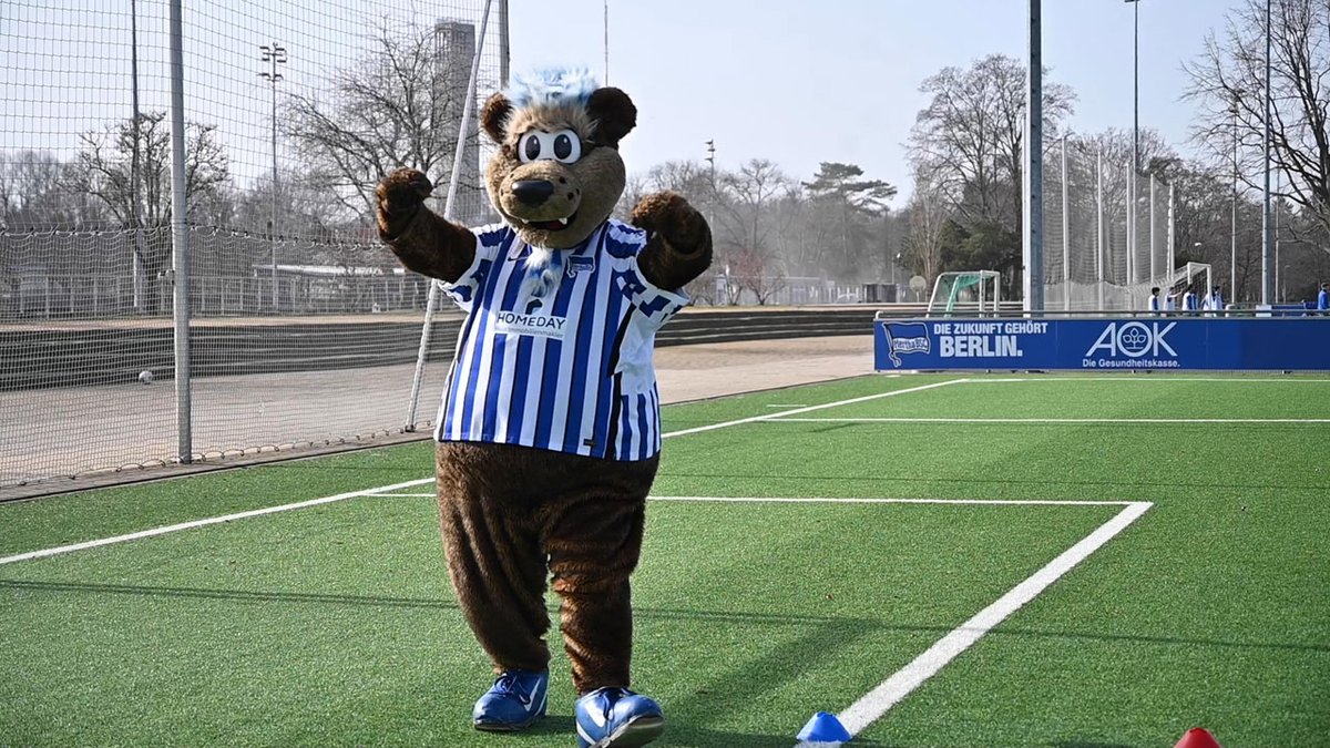 HerthaBubis's tweet photo. Kinder wollen Sport treiben und Spaß haben – gemeinsam mit ihren Freunden. Das ist in Corona-Zeiten schwierig. Deshalb ist Kreativität gefragt. Unsere #BSCU9-Trainer Anthony #Guy und Erik #Maschewski haben da eine Idee: https://t.co/LHcL6qiAAn 👈

#DieZukunftGehörtBerlin #HaHoHe https://t.co/tLLEkUM7TK