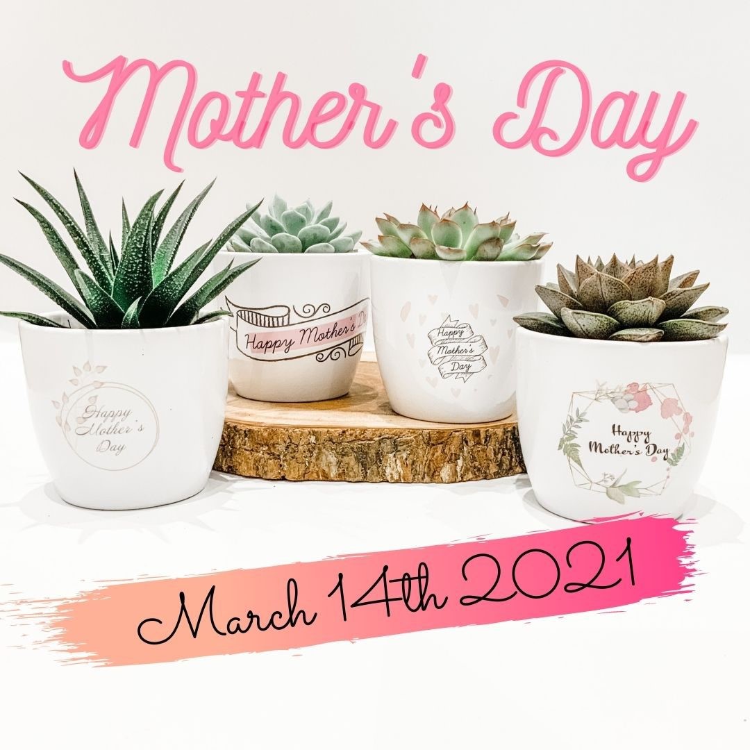 Looking for #MothersDay gift? House #plants #longlasting Mum can watch them grow. Choose from four designs of Mother's Day #gift #pot and add your own personal message on the reverse. Plants reduce #stress #airpurifying help #productivity #deliverytoyourdoor