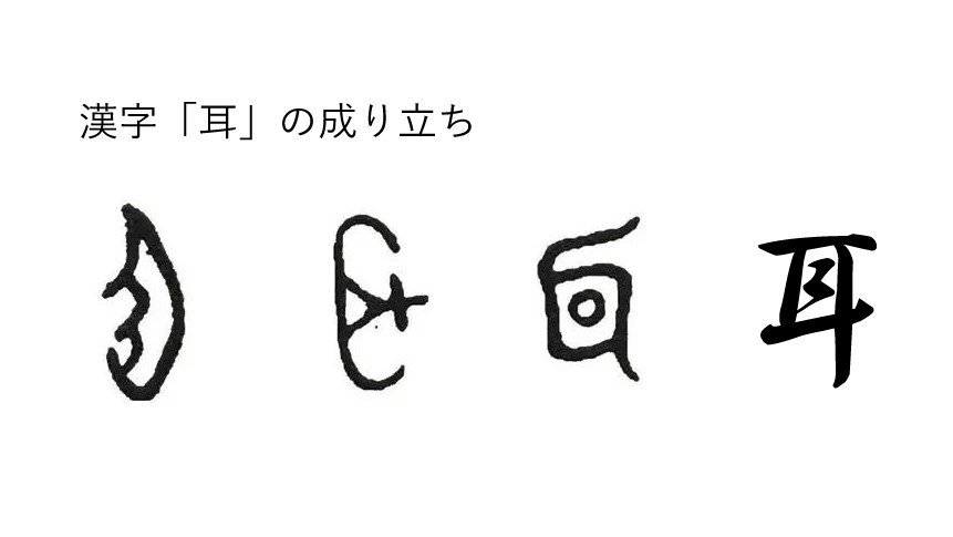 シグニア補聴器 Signia Hearing 3月3日は 耳の日 耳の日 は ミミ という語呂合わせや ３ が耳の 形に似ていることから 3月3日 になっていると何となく想像がつきます では 耳の日 は一体誰がいつ 何のために作ったのでしょうか