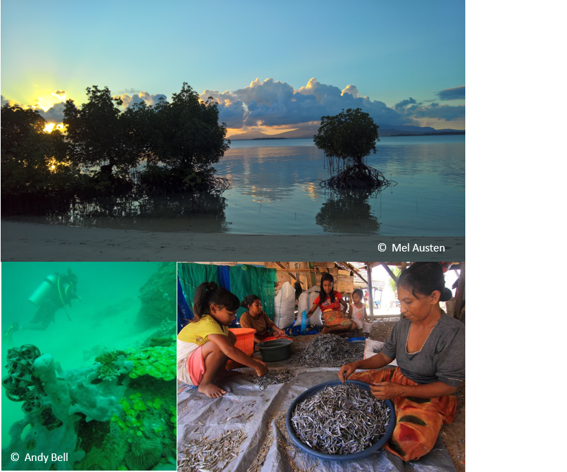 Mel_Austen's tweet photo. Come join our awesome @BlueCommunities @SW_EEP  
@plymuni GCRF_PISCES teams working with me on exciting socio-economic-ecological research in SE Asia and SW England! We are recruiting 2 research fellows (3 years) to work on ocean &amp; coastal systems. https://t.co/hIRdZXWP1w https://t.co/aMf0l2dKpP