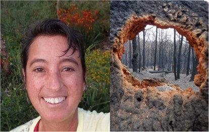 FunEcology's tweet photo. ⭐New on the blog from Fiona Scarff of @Macquarie_Uni!
🔥How do plant hydraulic traits affect flammability?
📖Read the blog here!
https://t.co/I19USMbDep
#fireecology #plantfunctionaltraits https://t.co/jGzxOAeZFa