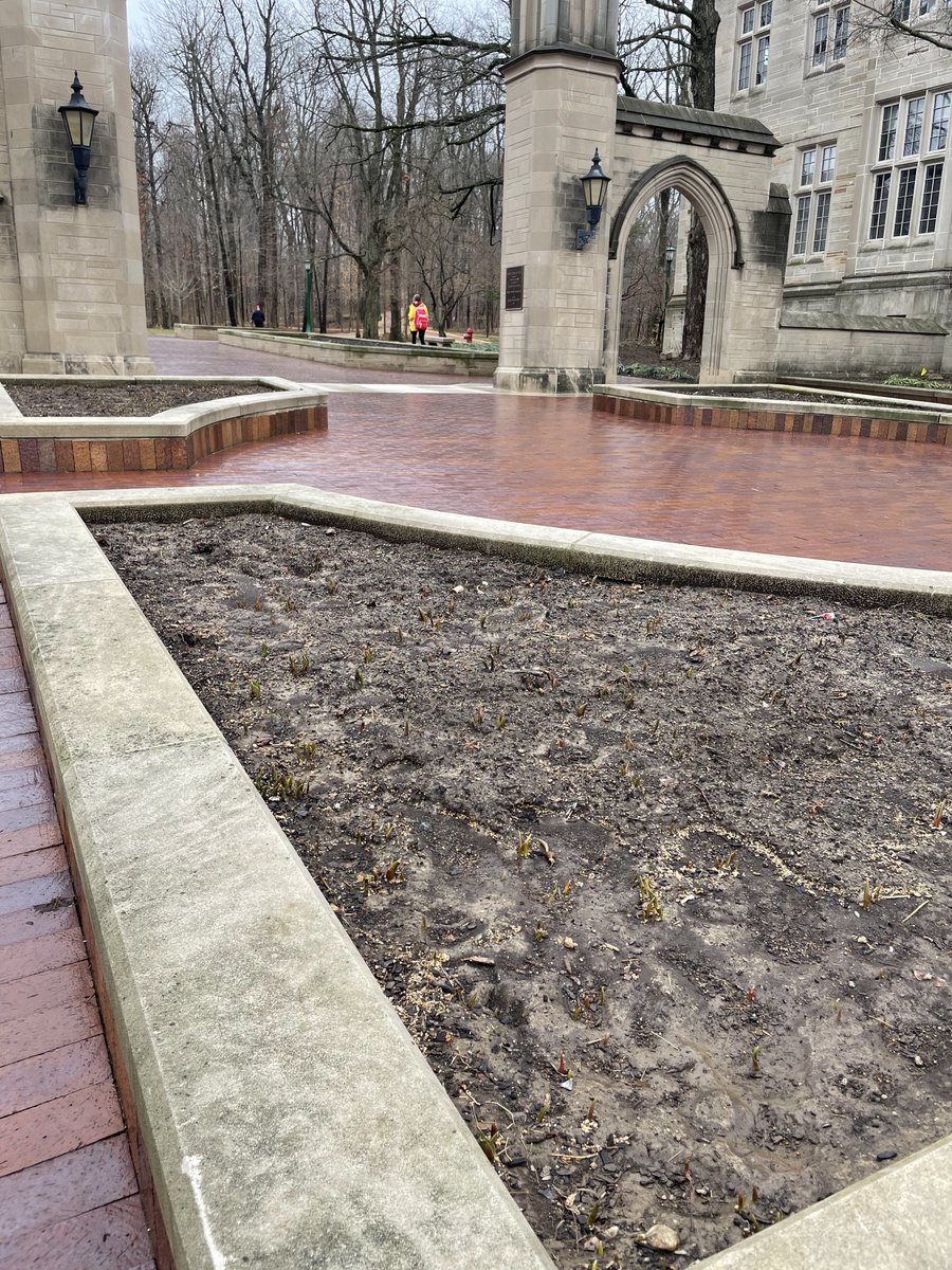 IU_Interp_Class's tweet image. Adjacent to the Sample Gates are planter boxes that often house beautiful flowers. Learn how these seemingly insignificant features can have a lasting effect on people here ~ interpretthisblog.wordpress.com/2021/03/02/int…
#IUBloomington #interpretthis