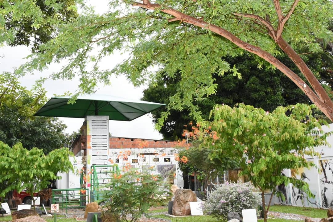 CAMHUILA's tweet photo. La lluvia 🌧️ nos hace reverdecer 🌳 y florecer 🌺 nuestro Sendero de Interpretación Ambiental del Alto Magdalena #SENDICAM de #Neiva, un escenario único en el departamento para aprender 🌿sobre #EducaciónAmbiental. 🤓
Desde @CAMHUILA trabajamos por generar una #CulturaAmbiental https://t.co/XsRzh3hxim