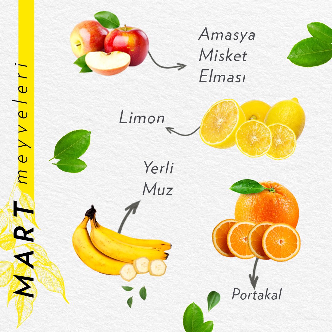 GastronometroTR's tweet photo. Vücudun ihtiyacı olan vitamin ve mineralleri bünyesinde barındırdığı için mevsiminde tüketmeye ve sürdürülebilirliğe katkı sağlamaya dikkat edin! İşte Mart ayının meyve ve sebzeleri! 🍋🥕
#Gastronometro #MeyveTakvimi #SebzeTakvimi #MartSebzeleri #MartMeyveleri https://t.co/uJWQh9KoL0