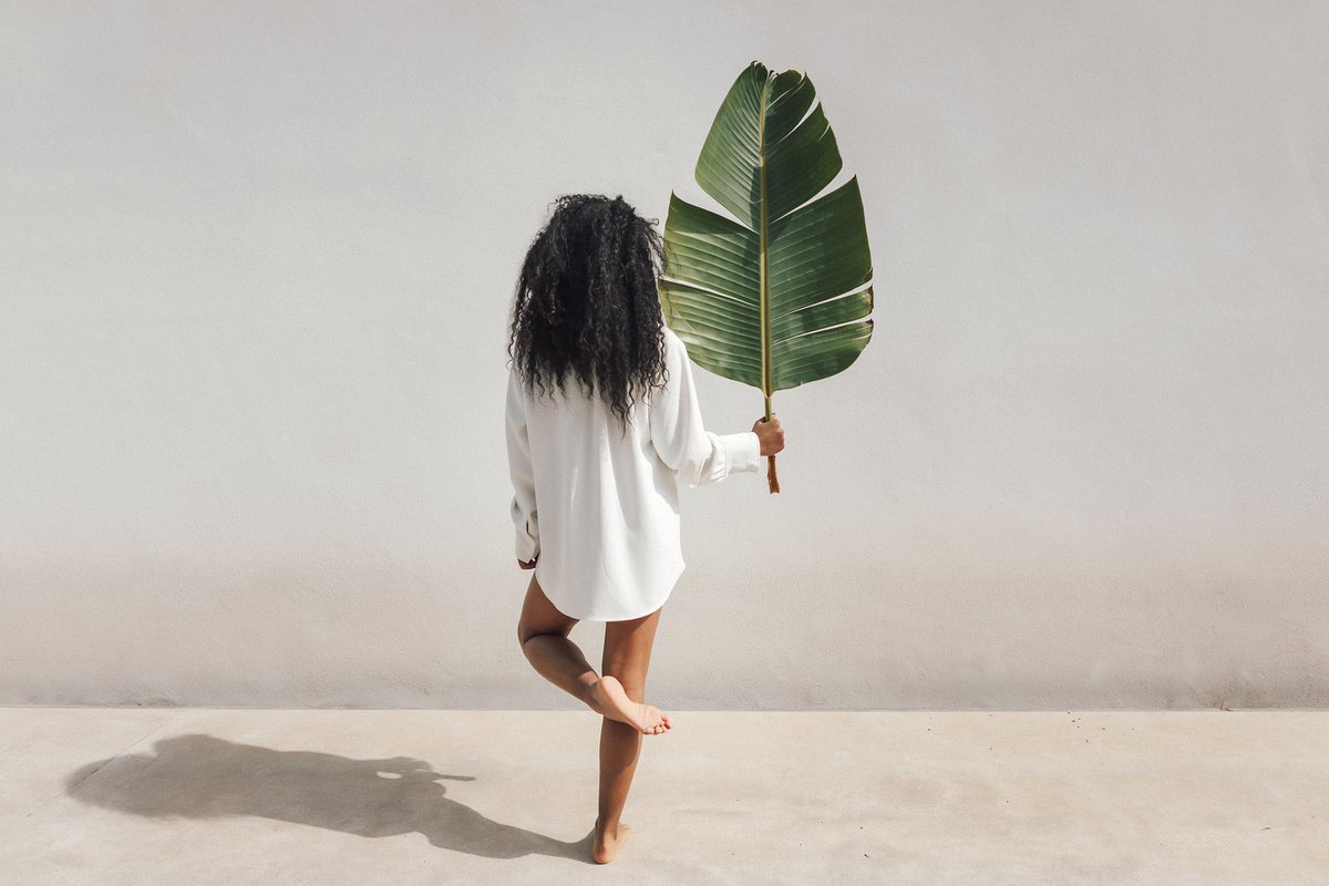 De cuando me enamoro de hojas abandonadas y me las llevo a casa para crear con ellas 💚