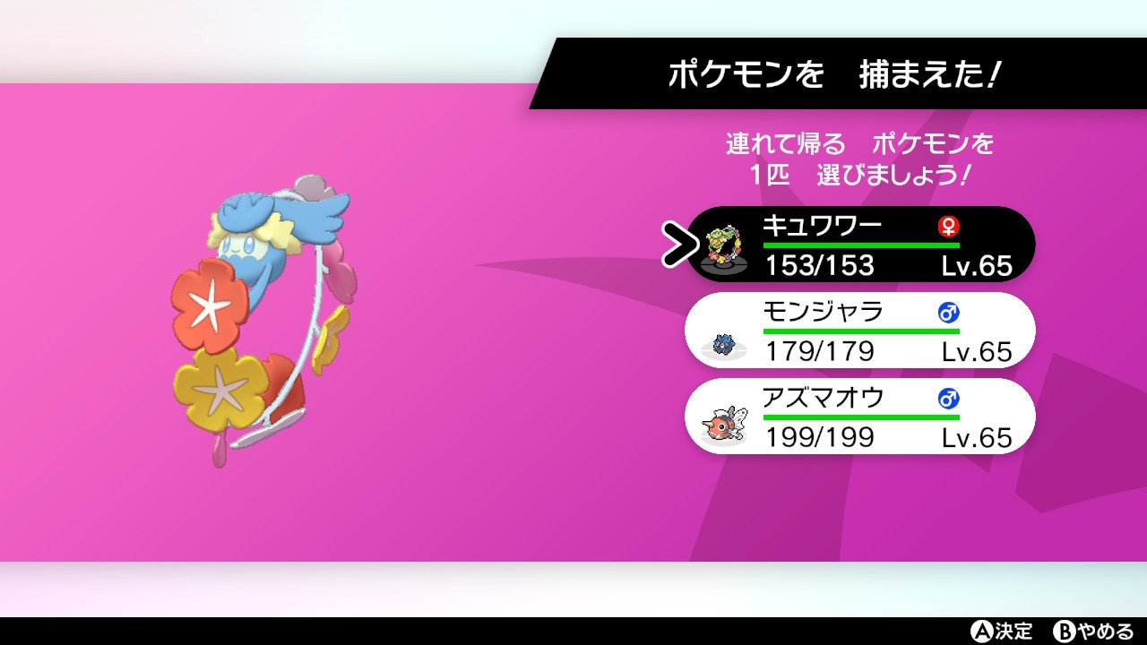 ブルース カイオーガのダイマックスアドベンチャー挑戦中に 色違いキュワワーに出会えました ポケモン剣盾 色違いポケモン キュワワー T Co Q5fjyzlc6c Twitter