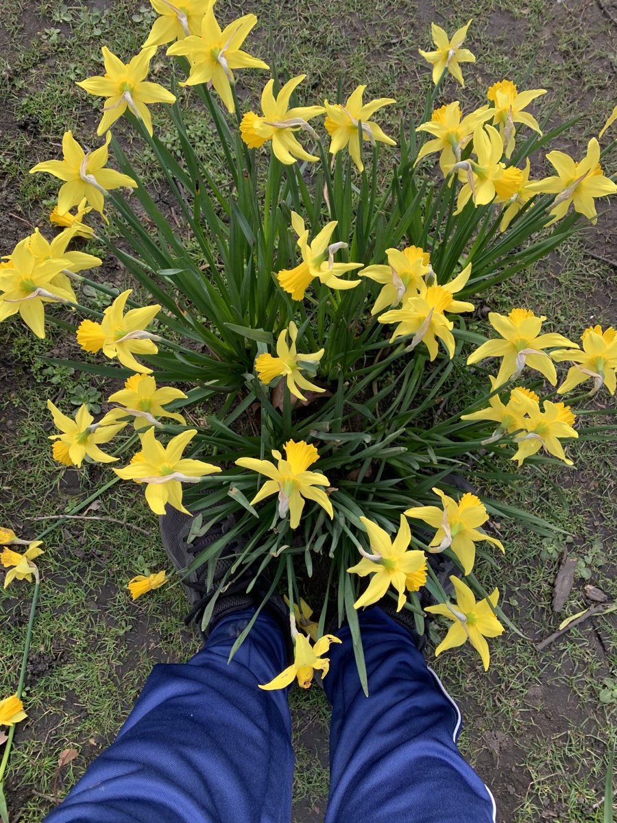 March is here ,spring is here yay. 
I hope March brings health and wealth to all of us #march #spring #wellbeing 😍