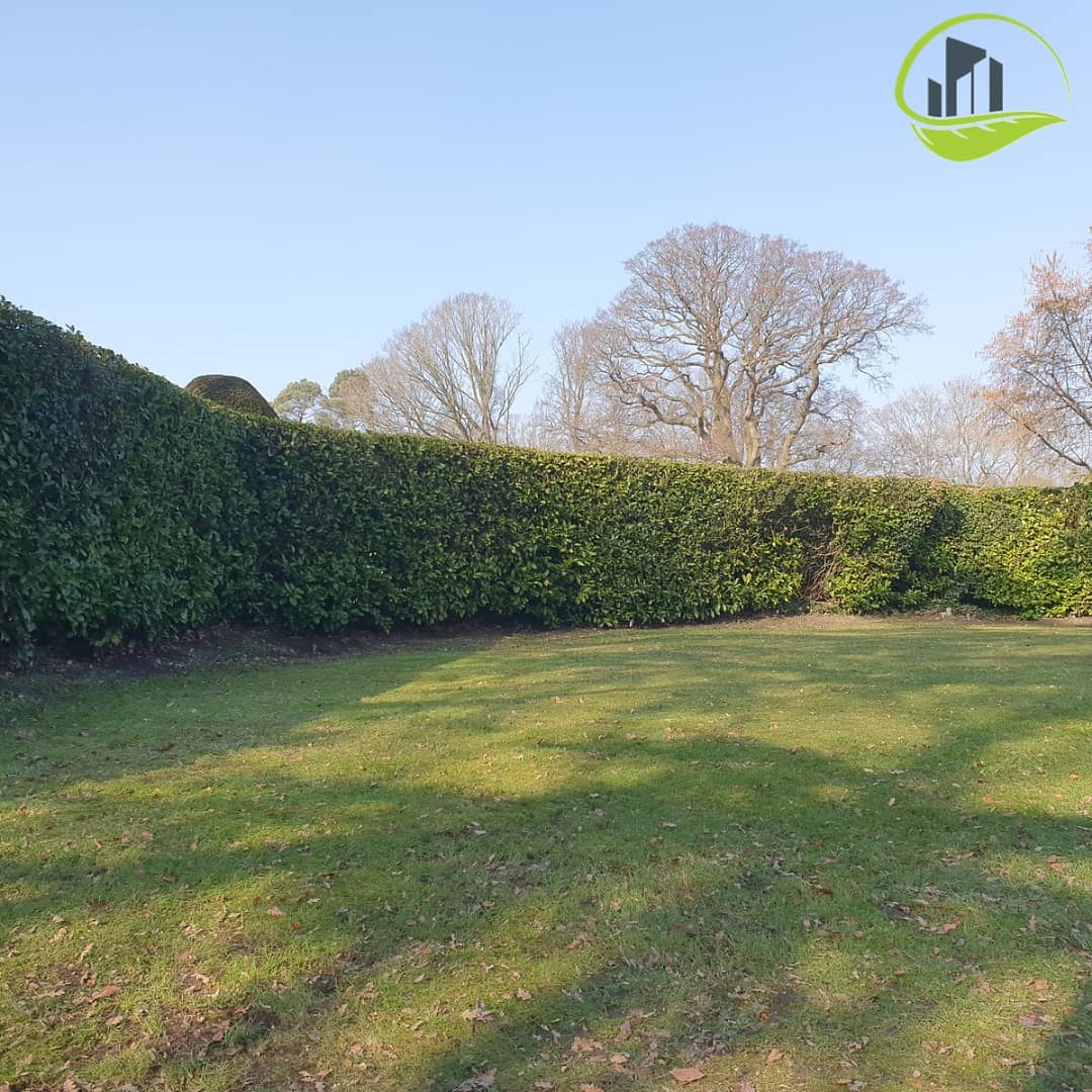 CleanConnexions's tweet photo. Today we commenced the maintenance of the grounds within this beautiful office property. We started with operation 'leaf collection' and lightly mowed the lawn for its first cut of the year. The lawn edges were cut &amp; steps &amp; paths swept around the property, all in a mornings work https://t.co/Npfg9nTdqx