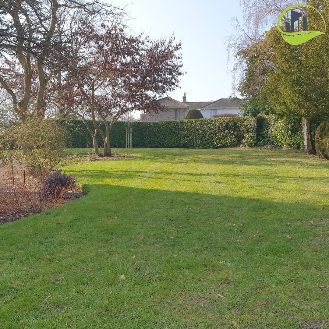 CleanConnexions's tweet photo. Today we commenced the maintenance of the grounds within this beautiful office property. We started with operation 'leaf collection' and lightly mowed the lawn for its first cut of the year. The lawn edges were cut &amp; steps &amp; paths swept around the property, all in a mornings work https://t.co/Npfg9nTdqx