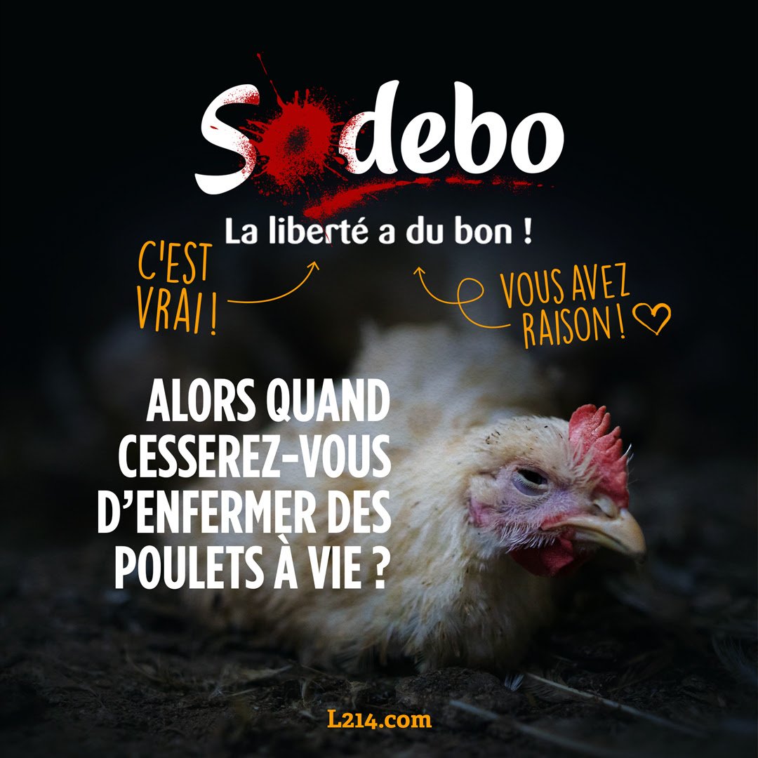 Guillaume Lung tweet media