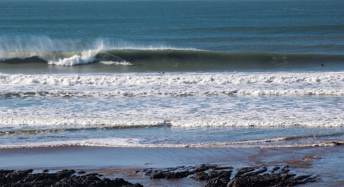 Circle One Surf Co. tweet media