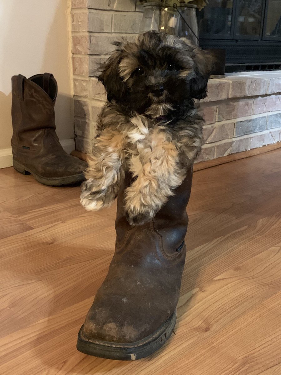 dgeers1's tweet photo. @WhiskeyRiff https://t.co/CegMeeqn46