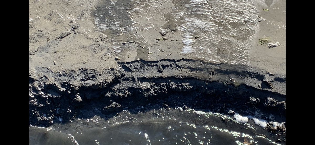Lowest tide I can remember (ever)