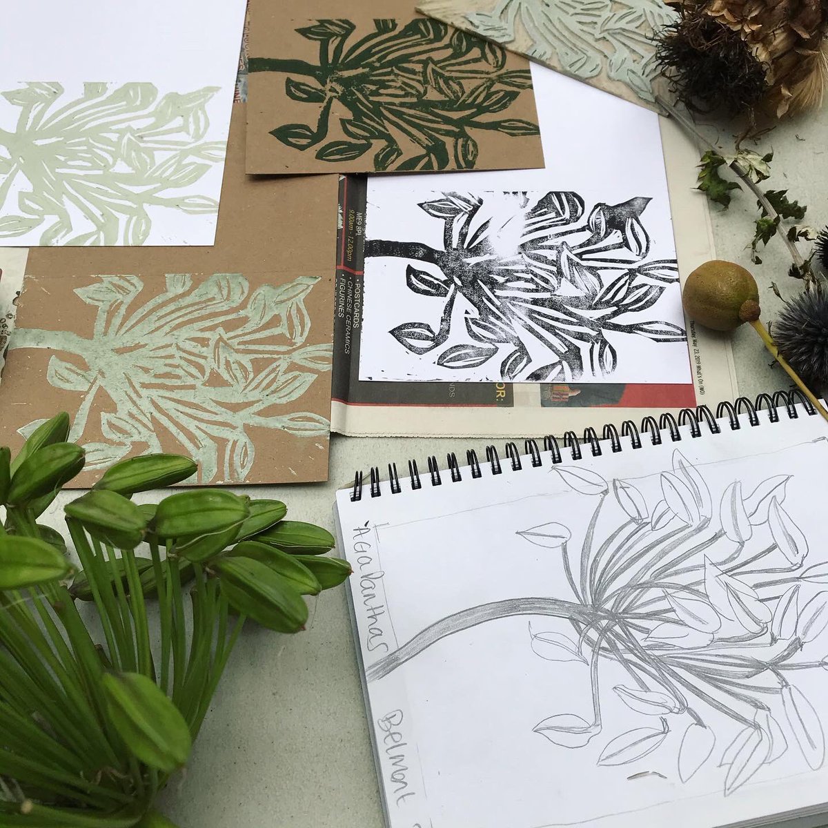 iprintedthat's tweet image. A fair bit needs to happen between now and 17 May but it’s looking like that’s when I’ll be able to welcome you back to the studio 🙌🏻 Also I’ve been contacted by venues, incl @BelmontHseGdns (see photos) to book in classes. Ah, won’t it be nice to print together IRL again 😊