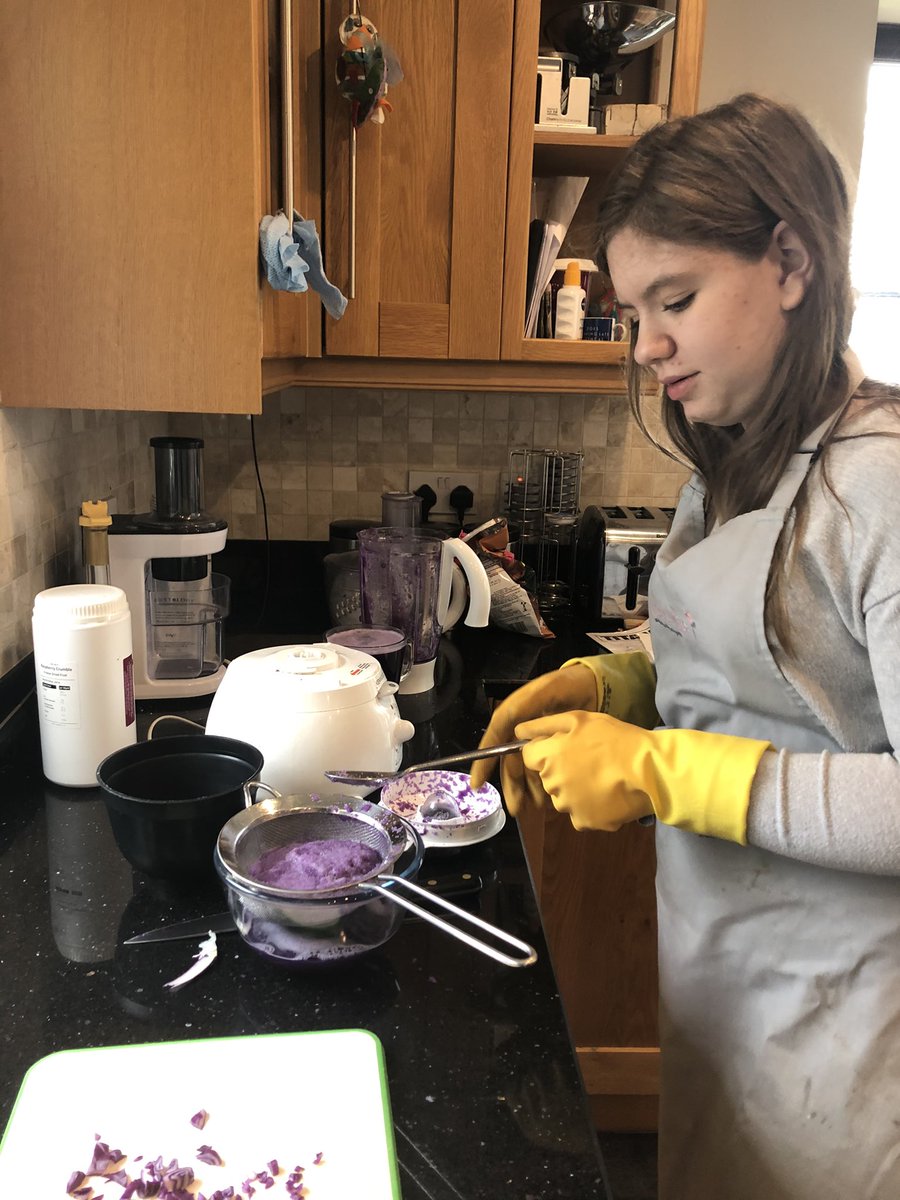 jomcdsilkstone's tweet photo. @PGSALCScience labs may be closed, but Abby had fun making red cabbage indicator at home, with some interesting results! @PGS_MissBarker https://t.co/ScfuYVfR65