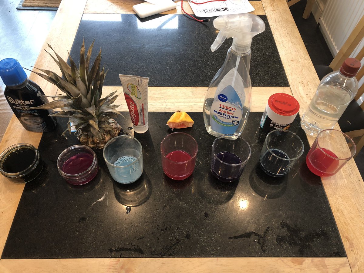 jomcdsilkstone's tweet photo. @PGSALCScience labs may be closed, but Abby had fun making red cabbage indicator at home, with some interesting results! @PGS_MissBarker https://t.co/ScfuYVfR65