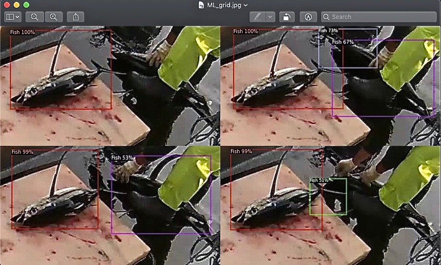 EM4Fish's tweet image. In this month's update: Projects in the Field: Advancing artificial intelligence technologies for fisheries management; EDF introduces SmartPass system; another @SeafoodEmerTech webinar; #EM4Fish clips and more. @NFWFNews EM4Fish Update: March 2, 2021 - mailchi.mp/em4.fish/em4fi…