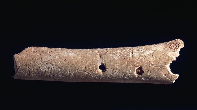 StFagans_Museum's tweet photo. A musical instrument?πΆπ€
This sheep bone from Penywyrlod tomb dates to around 3750 BCE. Three small holes suggesting it may be part of a flute
#EarlyMusic #FirstFarmers #EarlySheep #Neolithic https://t.co/pGC421cTKL