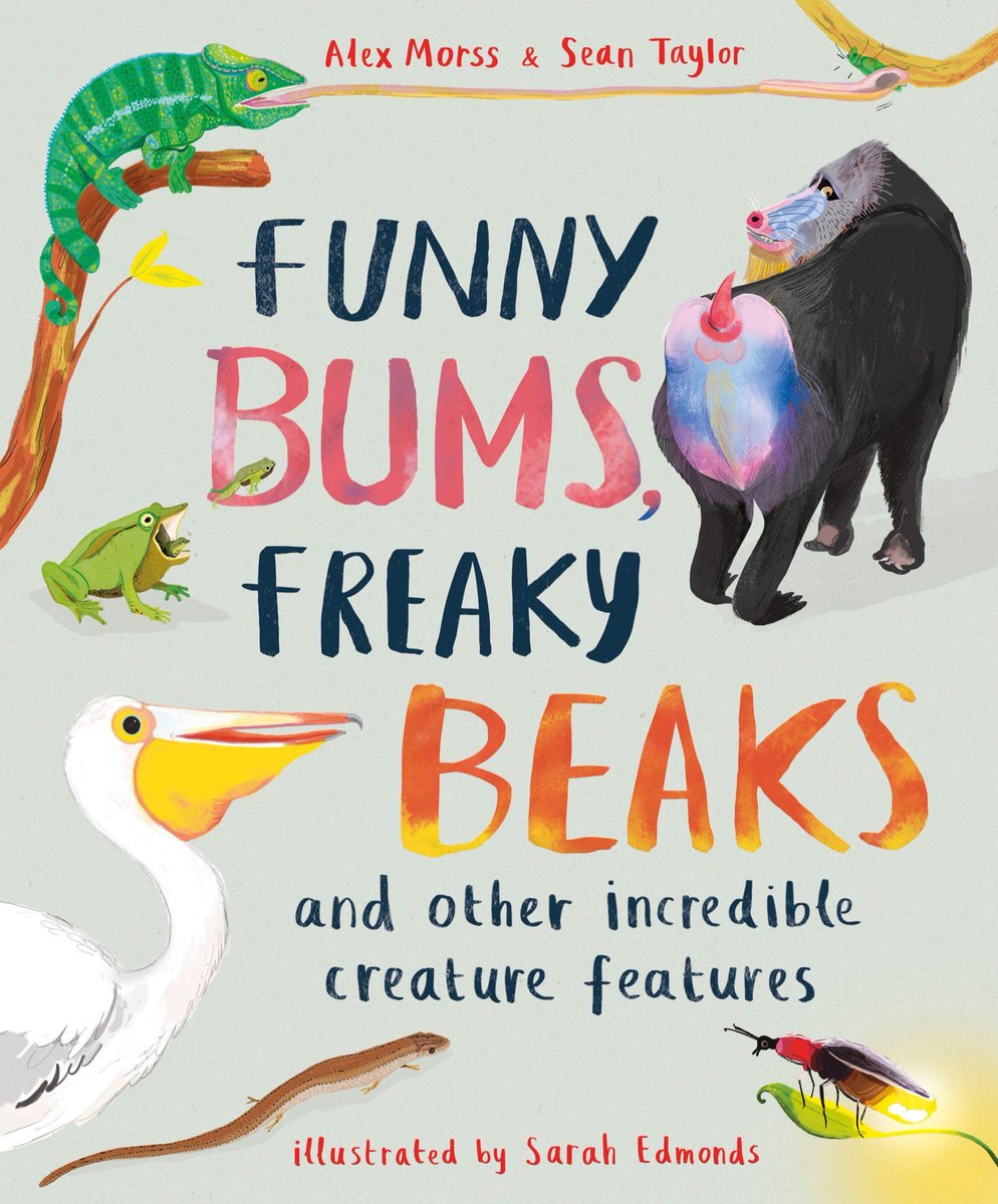 Celebrate the amazing diversity of life on Earth, and some remarkable creatures, in <a href="/morss_alex/">Alex Morss 🦇🌍⏳</a>, Sean Taylor &amp; Sarah Edmonds’ exciting, illustrated compendium Funny Bums, Freaky Beaks <a href="/LollyPopPR/">Lorraine Keating</a> @KidsWelbeck pamnorfolkblog.blogspot.com and lep.co.uk/arts-and-cultu…