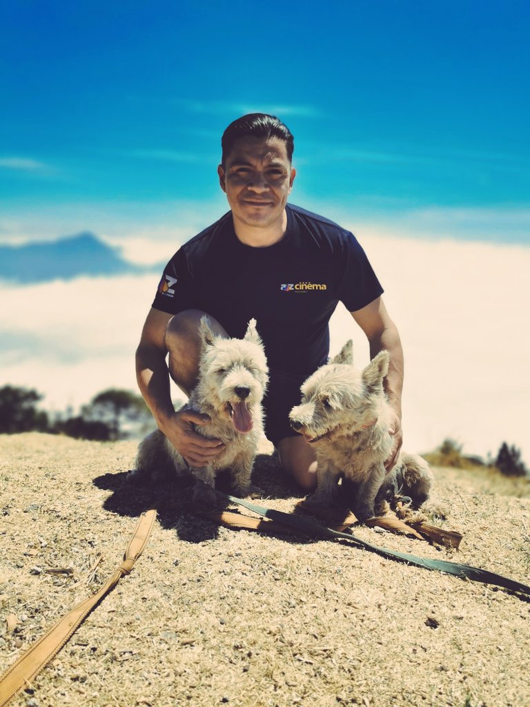 VasnyM's tweet photo. #SaludMental | Se el cambio que quieres ver en el mundo
#Westie
#Duke y #Jack
#VolcanSantaMaria https://t.co/xohwhta2uV