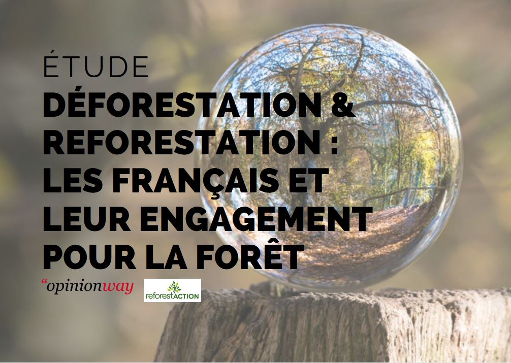 opinionway's tweet photo. [ ENVIRONNEMENT ] Près de 70% des Français estiment que les États et organisations internationales n’agissent pas assez pour protéger les forêts. Étude @reforestaction 
Résultats détaillés 👉 https://t.co/xqoV8i64nD
CP 👉 https://t.co/sSeUwF1iAS
@opendiplo #GlobalForestSummit https://t.co/nDwgmxKlO1