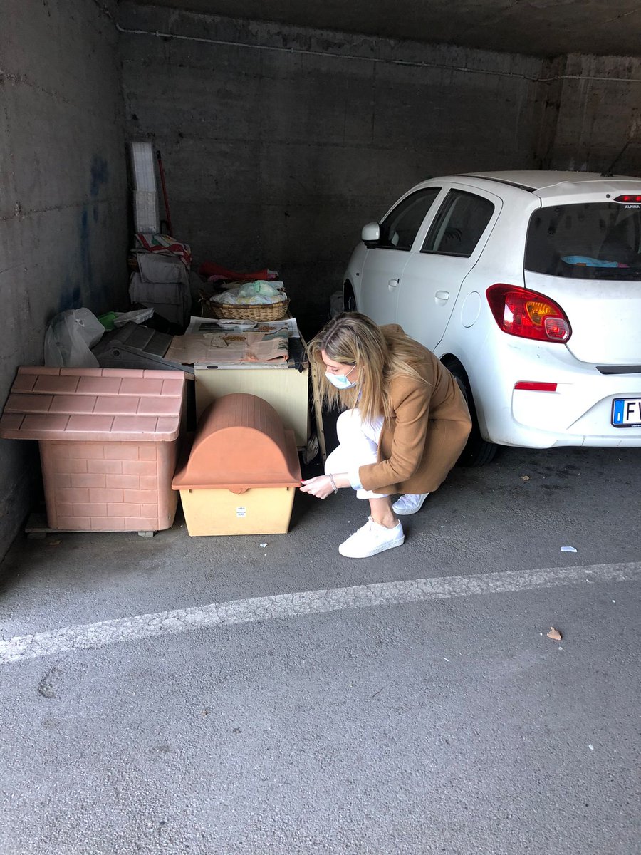 Francescadesa_'s tweet image. Nuovi progetti per #rigenerare le periferie della nostra città. 🧩 Attenzione costante verso le esigenze e le segnalazioni dei cittadini #Trieste #Giovani