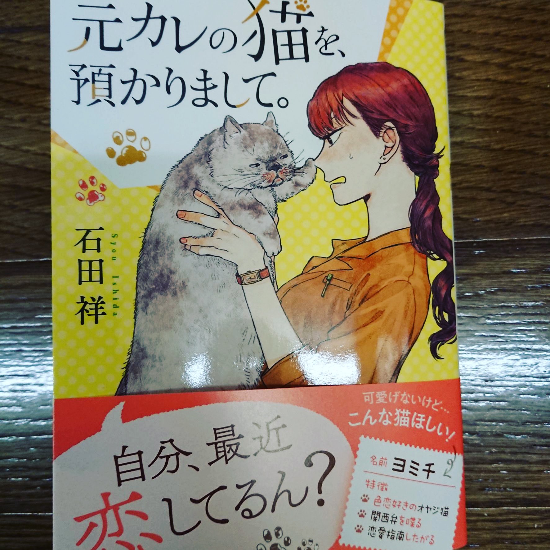 みっれー お友達の本です まだ私も読み始め 面白いよ 出てくるのがネコじゃなくてフェレットさんだったらよかったのにな ー ネコ好きな人にも そうでない人にもオススメです ぜひ ﾉ 元カレの猫を預かりまして 石田祥 T Co