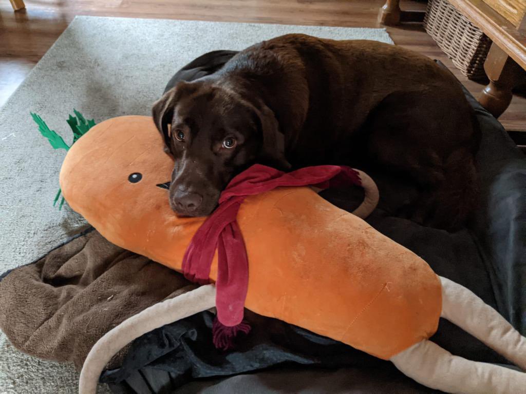 BuddyAndKevin tweet media