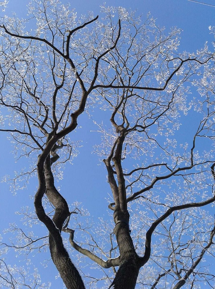 #spring Я вернулась!