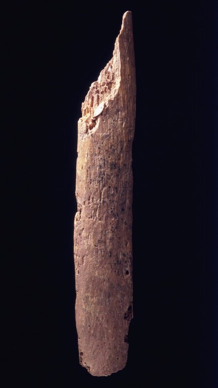 StFagans_Museum's tweet photo. Farming life was not always peaceful!
This human rib bone from Penywyrlod, Powys has the tip of a flint arrowhead embedded in the bone πΉπ¨
#firstfarmers #earlyneolithic #megalithictomb #humanbone #pathology #warfare #flintarrowhead https://t.co/livLGmRmXx
